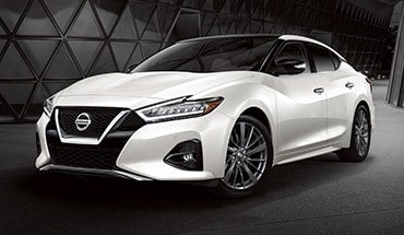 2023 Nissan Maxima in Nissan of Fremont in Fremont CA